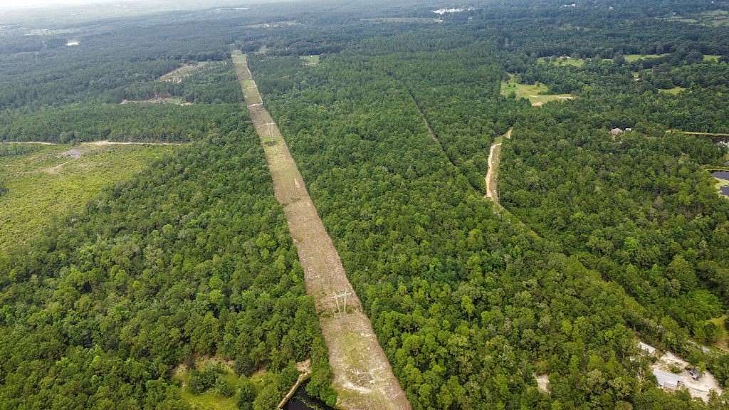 40.5 Acres of Land for Sale in Perkinston, Mississippi