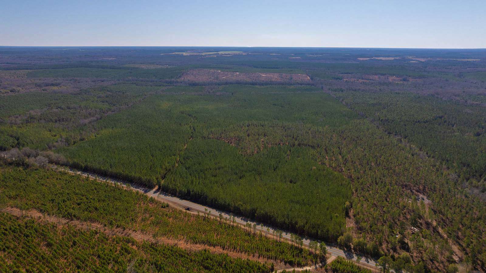 310 Acres of Recreational & Residential Land for Auction in Richland, Georgia