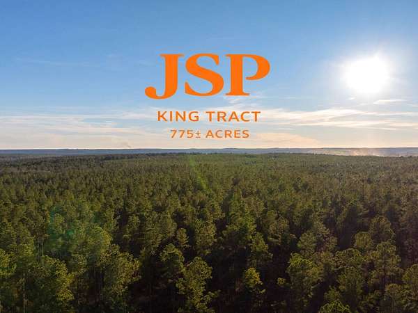 775 Acres of Land for Auction in Preston, Georgia