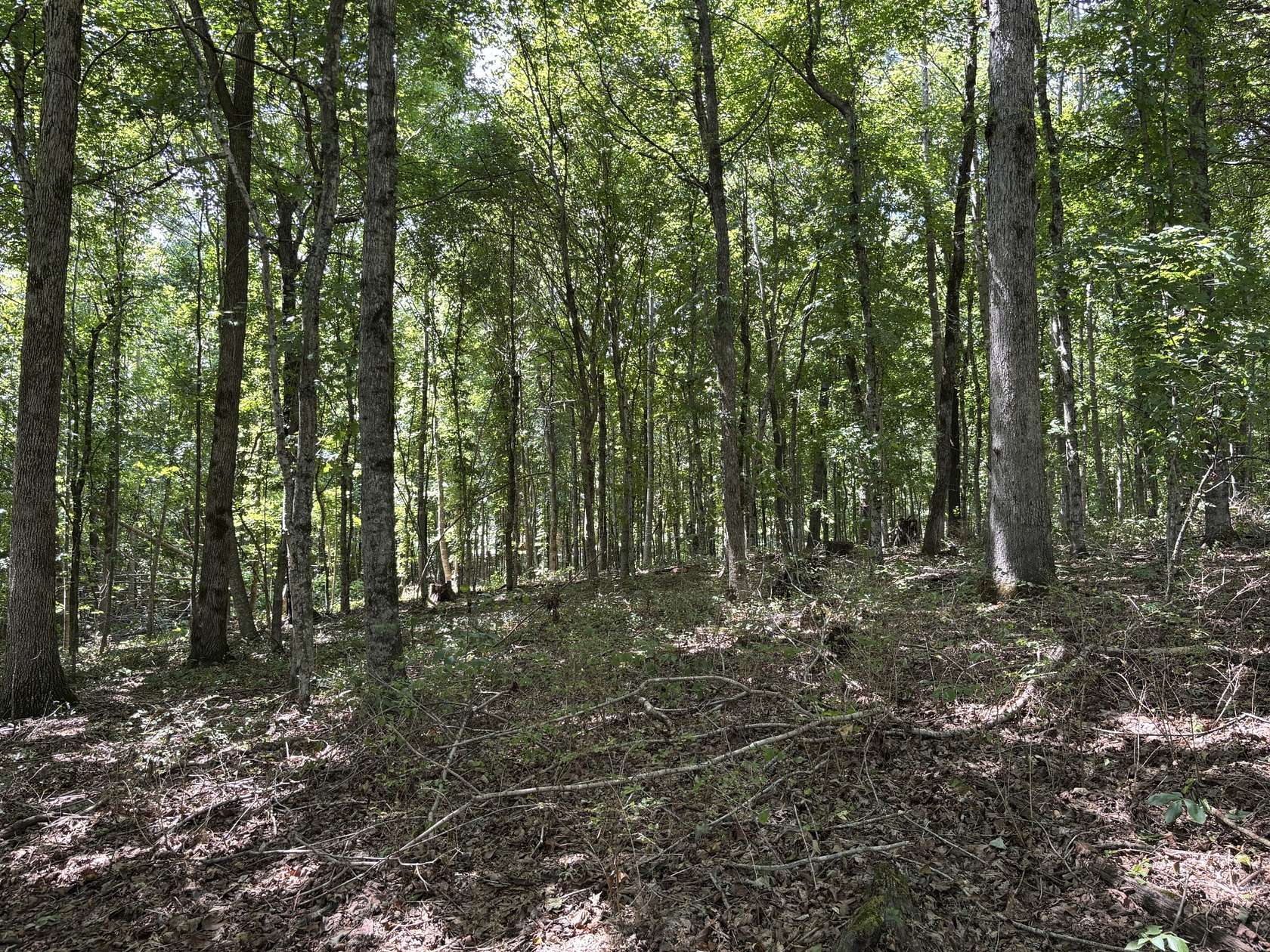 1.68 Acres of Residential Land for Sale in Lyles, Tennessee