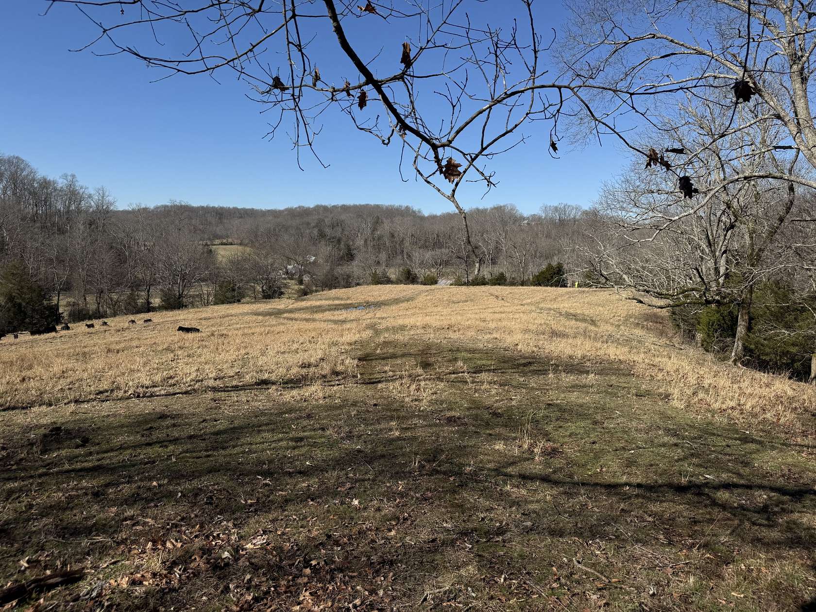 22.7 Acres of Land for Sale in Franklin, Tennessee