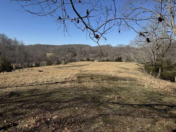 22.7 Acres of Land for Sale in Franklin, Tennessee