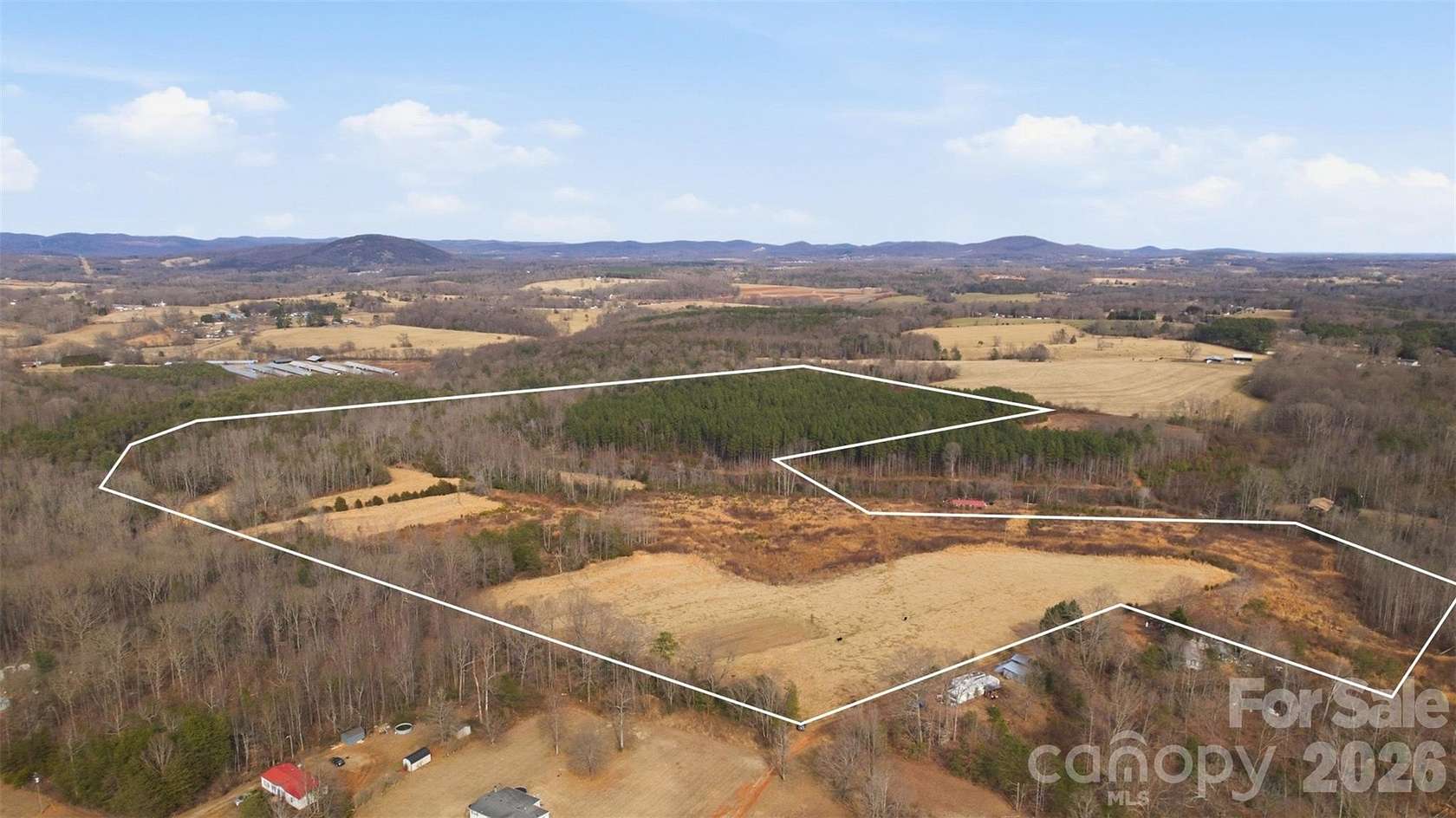 65 Acres of Land for Sale in Taylorsville, North Carolina
