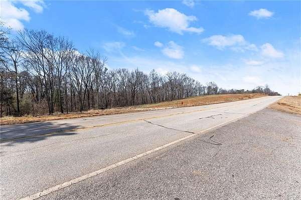 22 Acres of Land for Sale in Carnesville, Georgia