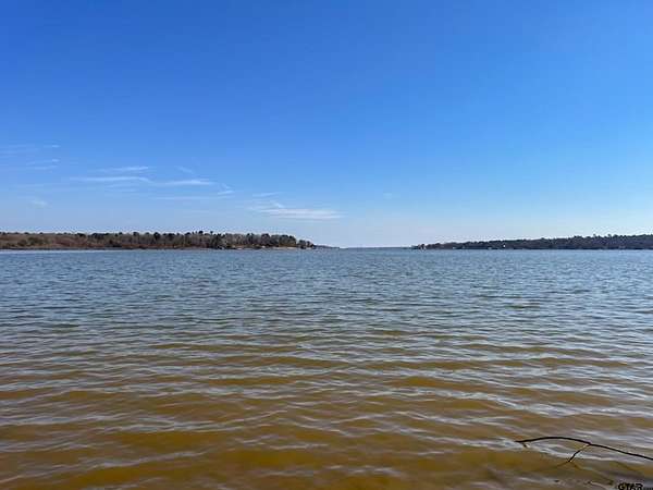 0.9 Acres of Residential Land for Sale in Scroggins, Texas