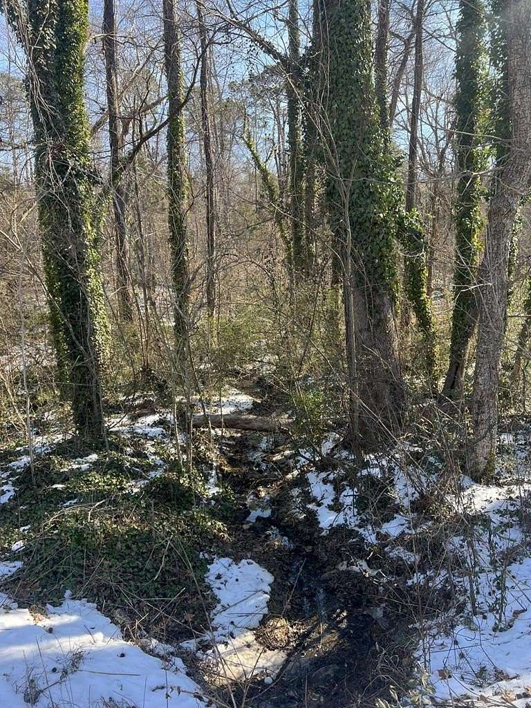 Residential Land for Sale in South Boston, Virginia