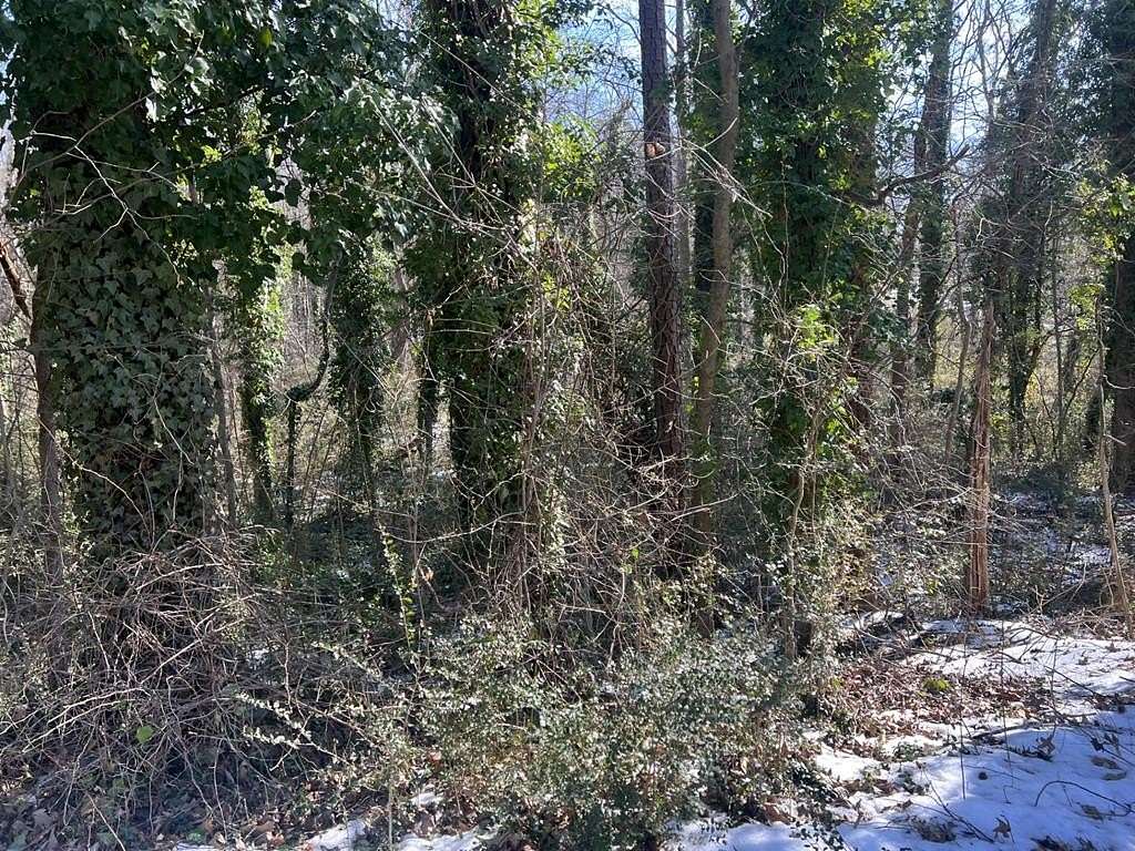 Residential Land for Sale in South Boston, Virginia