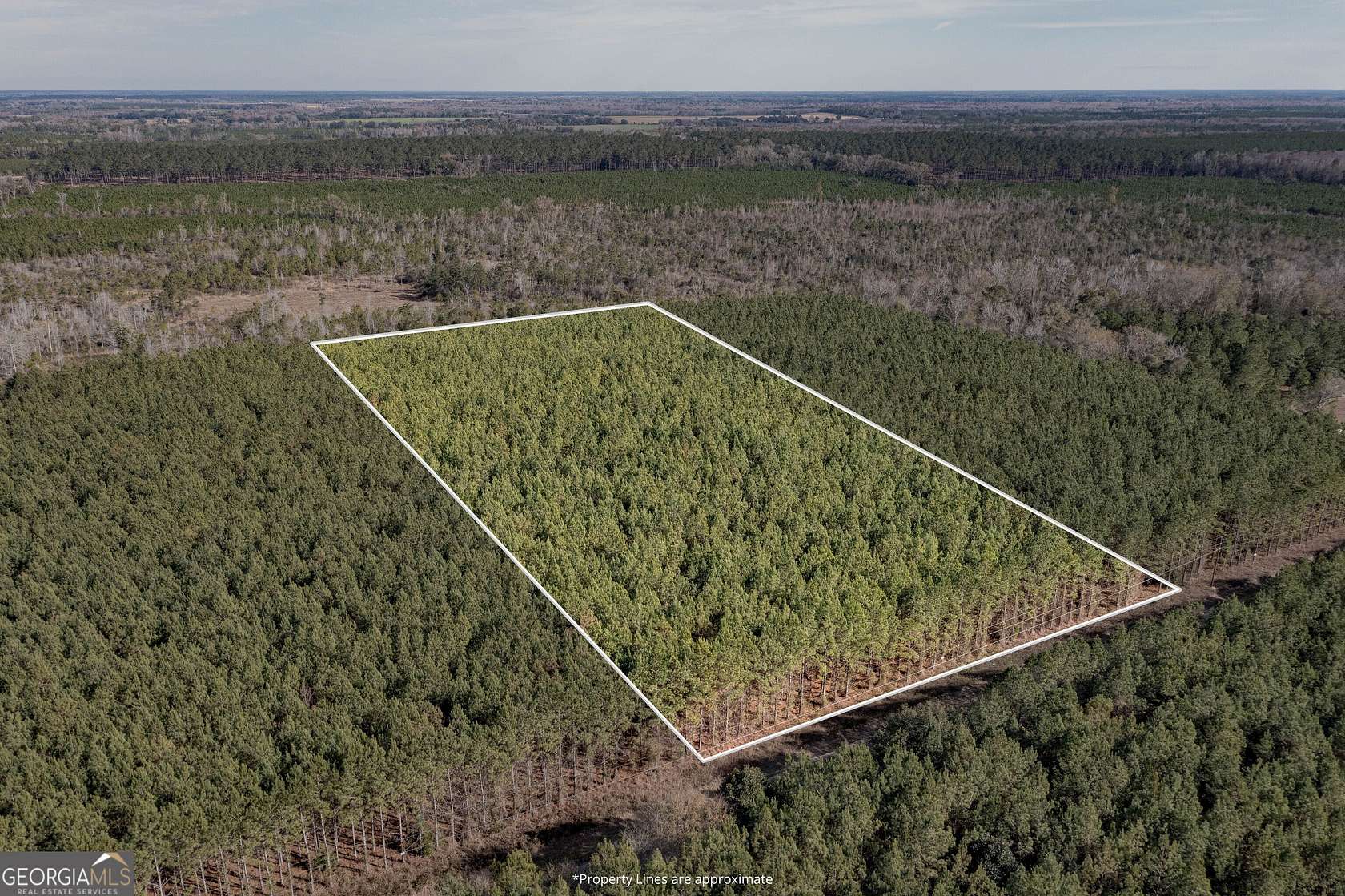 6.19 Acres of Residential Land for Sale in Gordon, Alabama