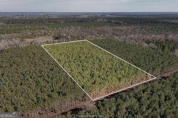 6.19 Acres of Residential Land for Sale in Gordon, Alabama