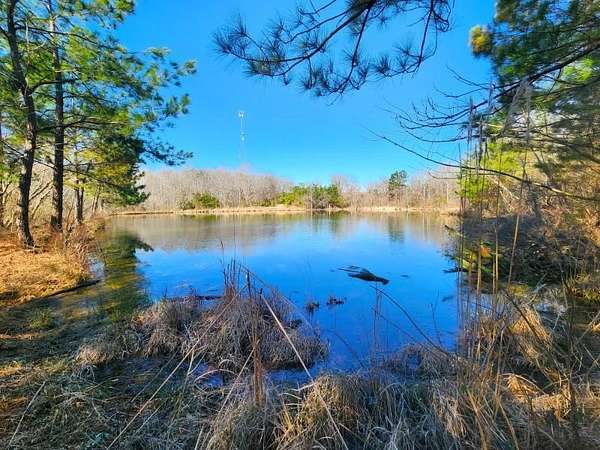 28.7 Acres of Recreational & Residential Land for Sale in Pontotoc, Mississippi