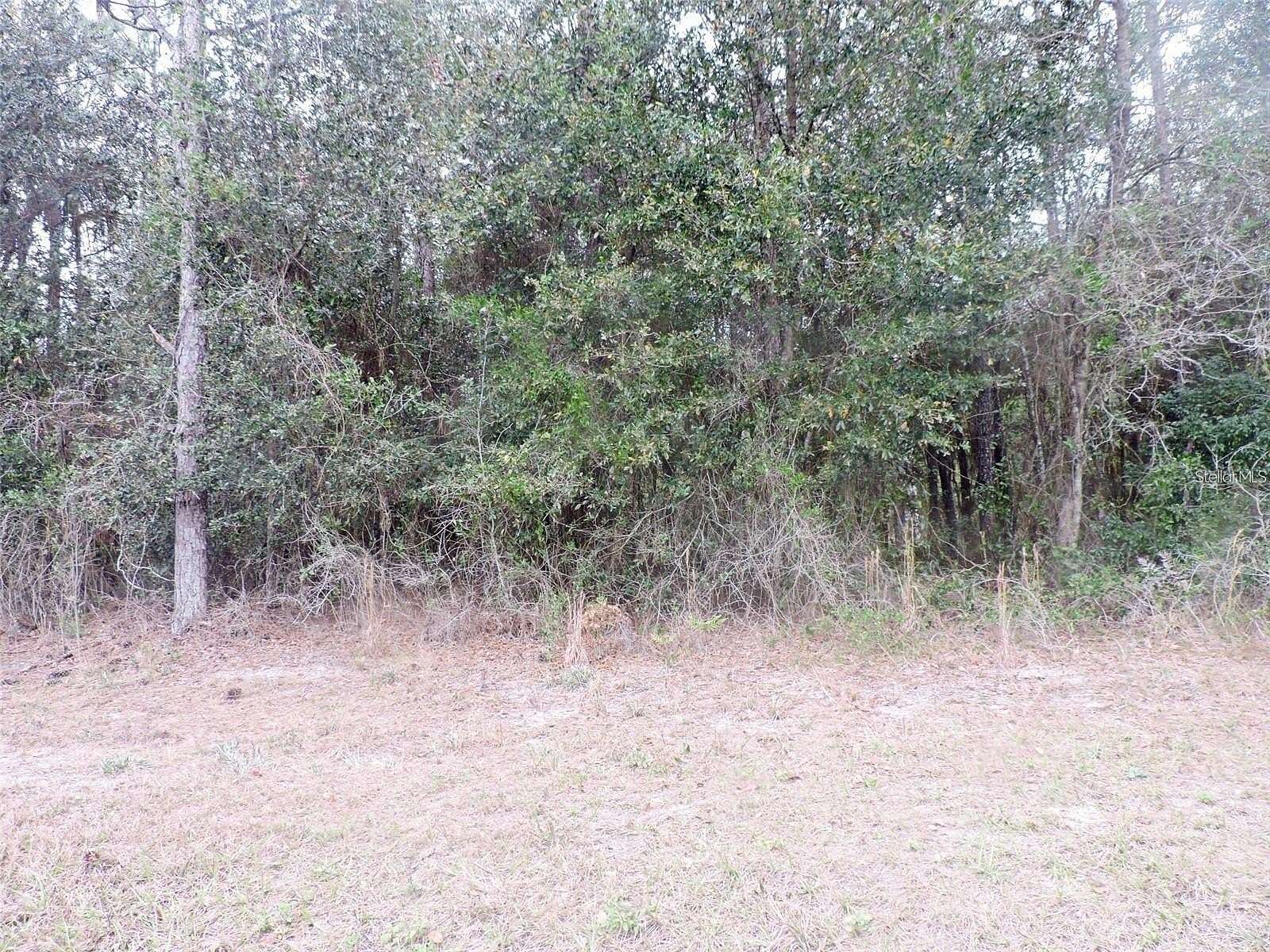 12.5 Acres of Mixed-Use Land for Sale in Hawthorne, Florida