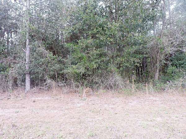 12.5 Acres of Land for Sale in Hawthorne, Florida