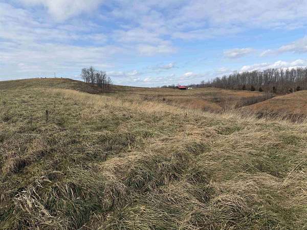 48 Acres of Improved Agricultural Land for Sale in Scottown, Ohio