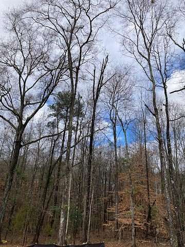 2 Acres of Land for Sale in Auburn, Alabama