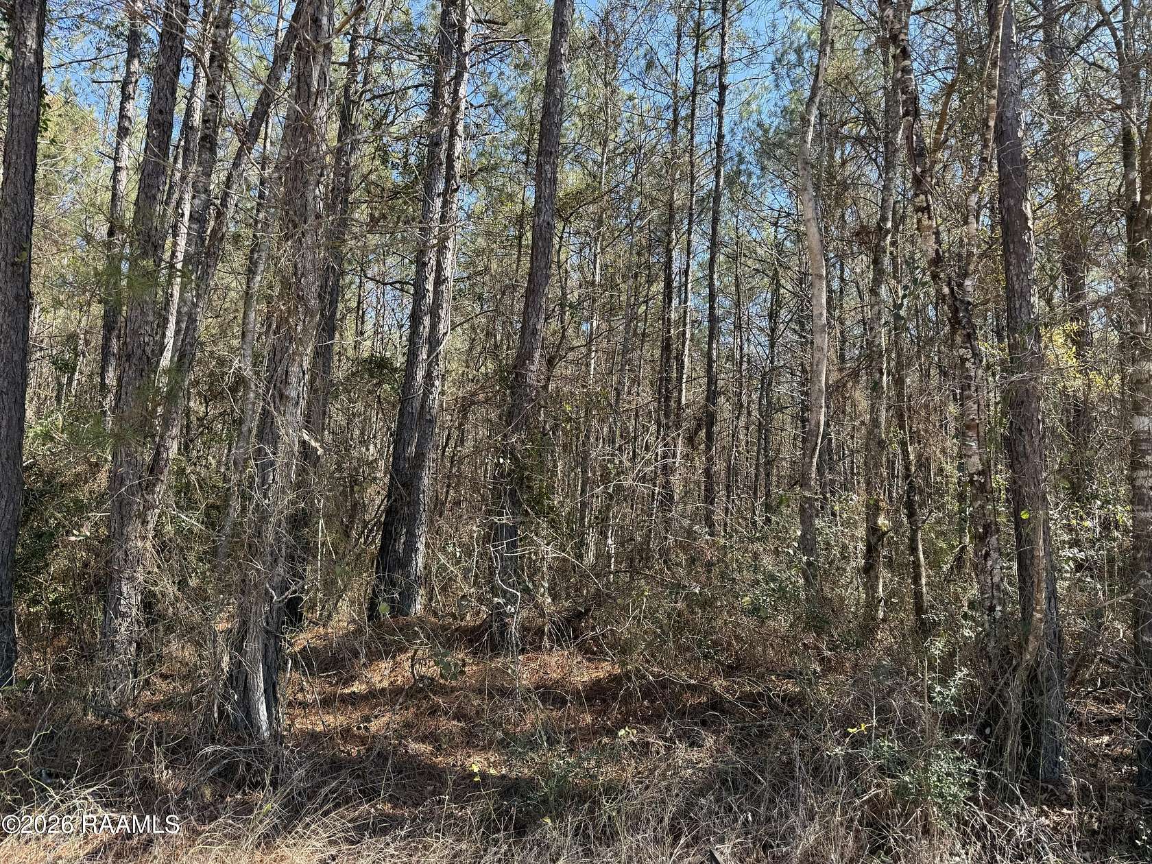 10 Acres of Residential Land for Sale in Oakdale, Louisiana