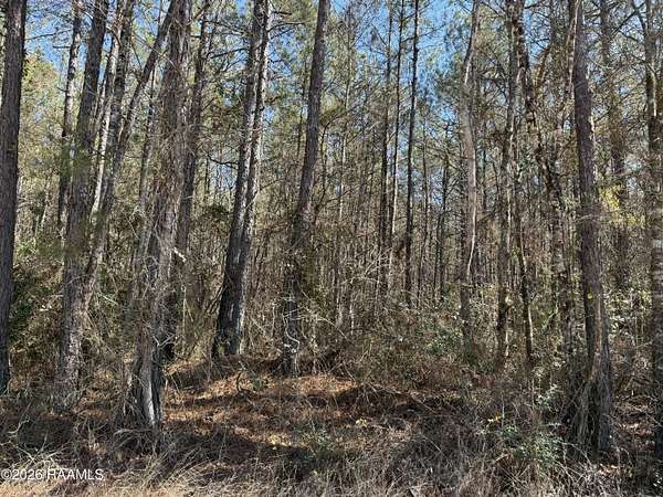 10 Acres of Residential Land for Sale in Oakdale, Louisiana