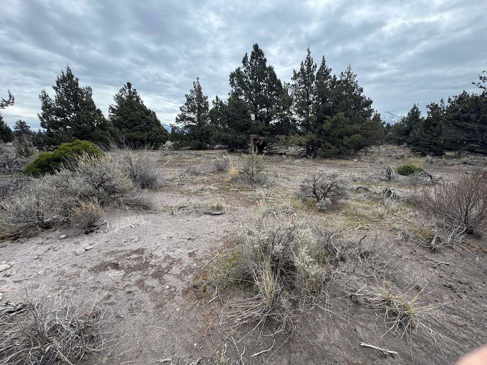 2 Acres of Residential Land for Sale in Montague, California