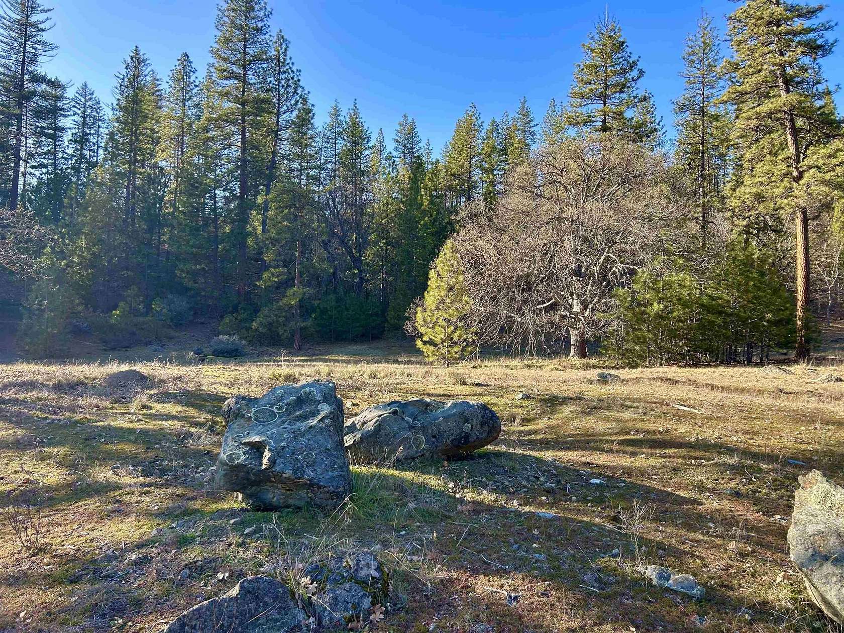 10 Acres of Land for Sale in Gazelle, California