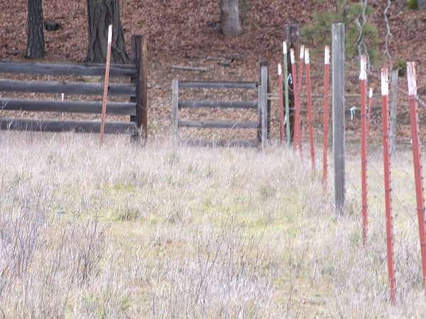 10 Acres of Land for Sale in Gazelle, California