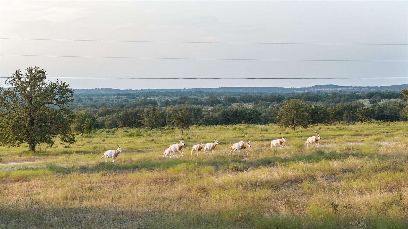 572 Acres of Recreational Land with Home for Sale in Johnson City, Texas