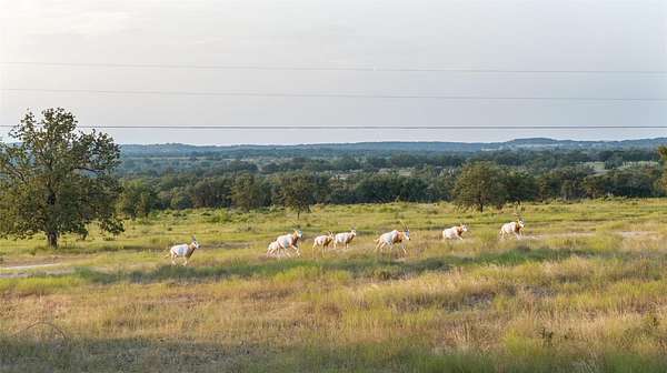 572 Acres of Recreational Land with Home for Sale in Johnson City, Texas