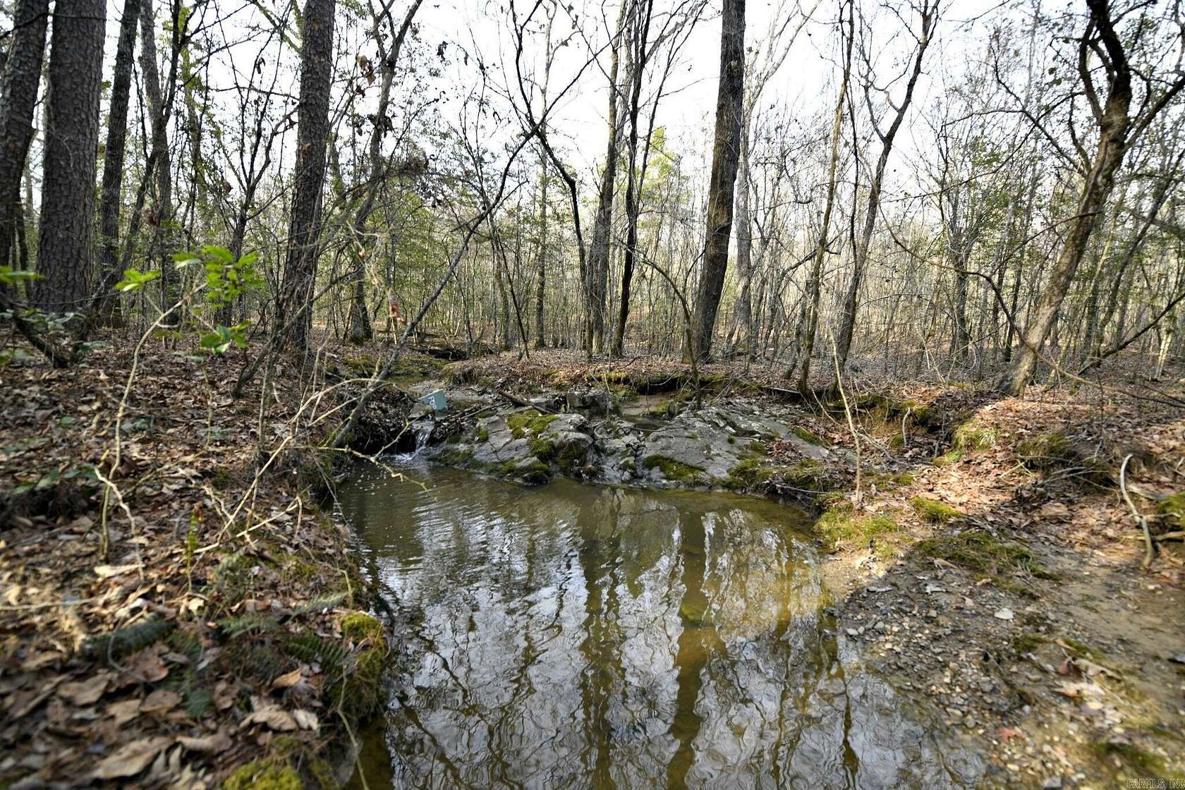 66.3 Acres of Recreational & Residential Land for Sale in Mena, Arkansas