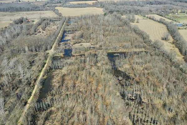 77 Acres of Recreational Land for Sale in Wisner, Louisiana
