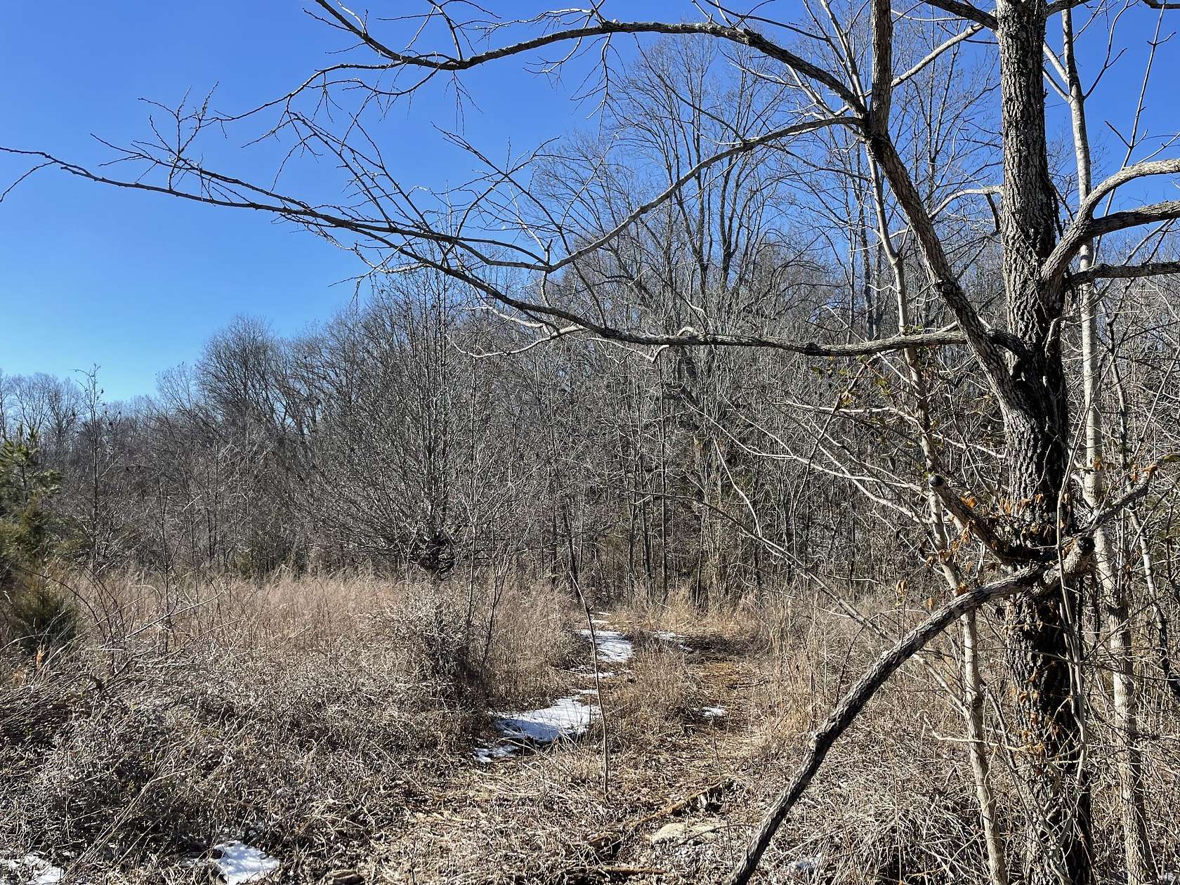 13.3 Acres of Land for Sale in Pleasant View, Tennessee