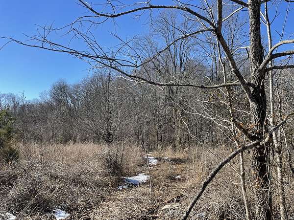 13.3 Acres of Land for Sale in Pleasant View, Tennessee