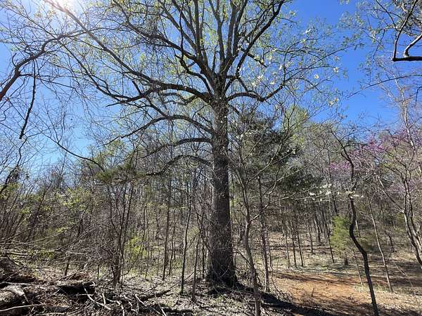 13.3 Acres of Land for Sale in Pleasant View, Tennessee