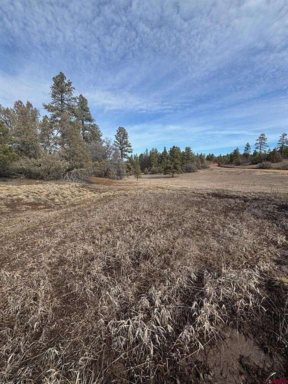 1.1 Acres of Residential Land for Sale in Pagosa Springs, Colorado
