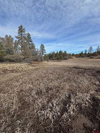 1.1 Acres of Land for Sale in Pagosa Springs, Colorado