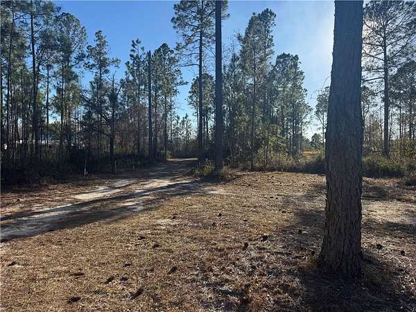 2.4 Acres of Residential Land for Sale in Blackshear, Georgia