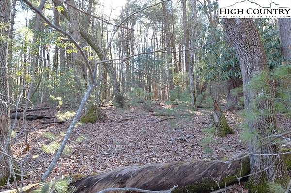 0.56 Acres of Land for Sale in Roaring Gap, North Carolina
