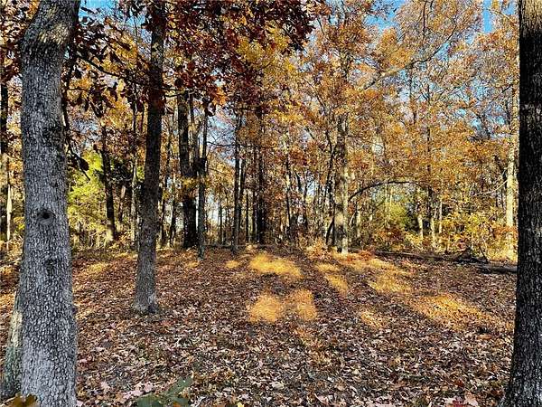 60 Acres of Recreational & Residential Land for Sale in Compton, Arkansas