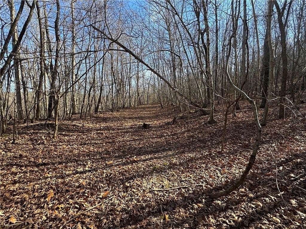 40 Acres of Recreational & Residential Land for Sale in Compton, Arkansas