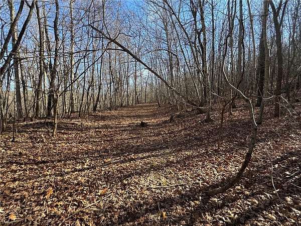 40 Acres of Recreational & Residential Land for Sale in Compton, Arkansas