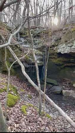 20 Acres of Recreational & Residential Land for Sale in Compton, Arkansas