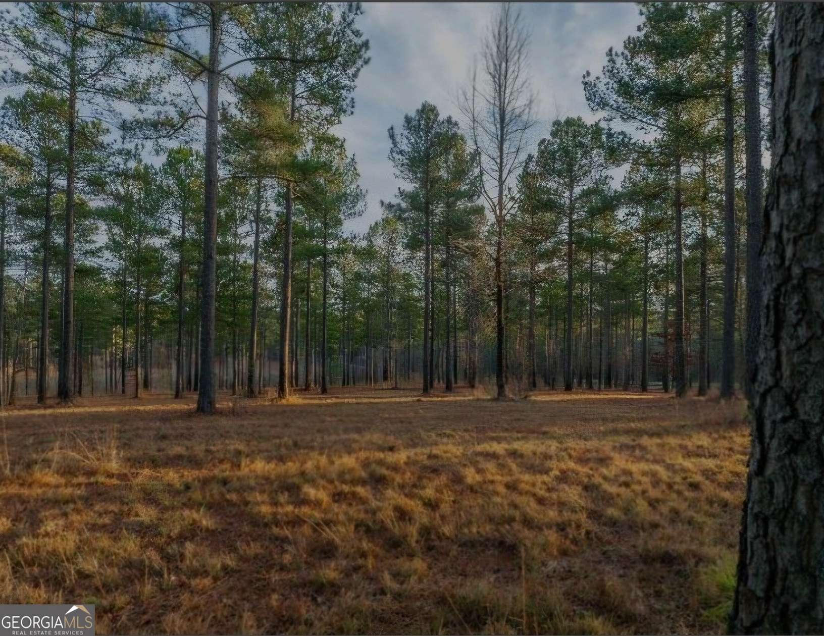 10.4 Acres of Land for Sale in Eatonton, Georgia