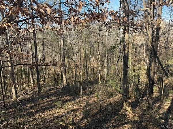 23 Acres of Land for Sale in Moundville, Alabama