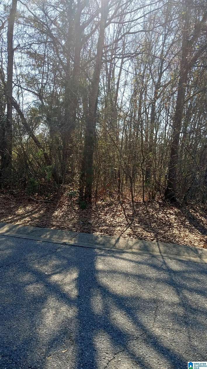 0.33 Acres of Residential Land for Sale in Brighton, Alabama