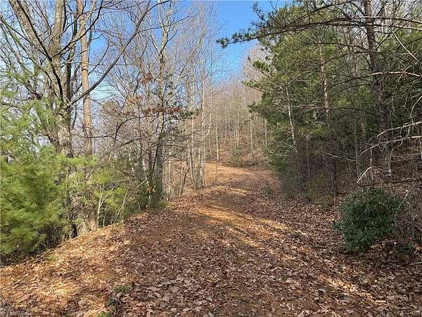 15.6 Acres of Land for Sale in Purlear, North Carolina