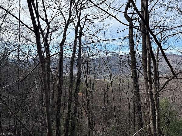 15.6 Acres of Land for Sale in Purlear, North Carolina
