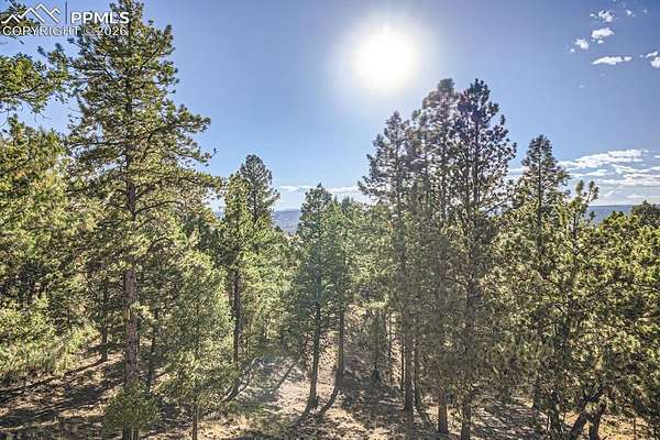 2 Acres of Land for Sale in Florissant, Colorado