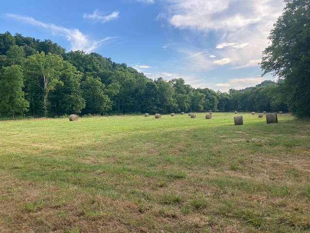 68.3 Acres of Land for Sale in Frankewing, Tennessee