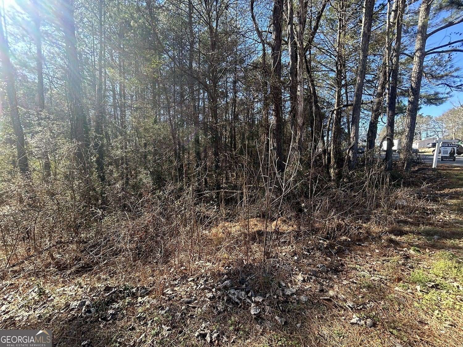 0.54 Acres of Residential Land for Sale in Lithonia, Georgia