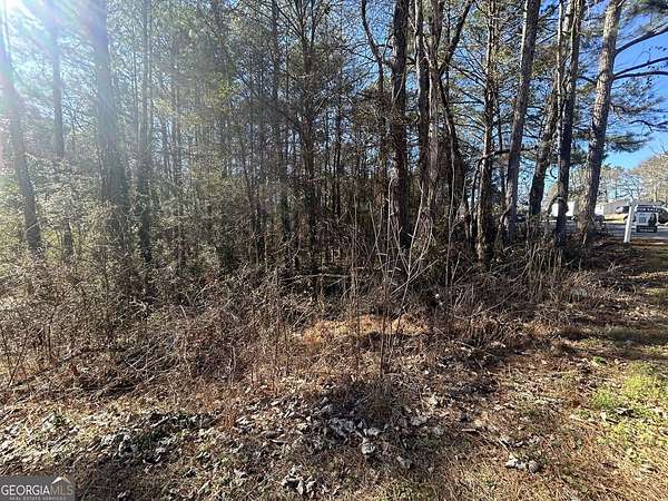 0.54 Acres of Residential Land for Sale in Lithonia, Georgia