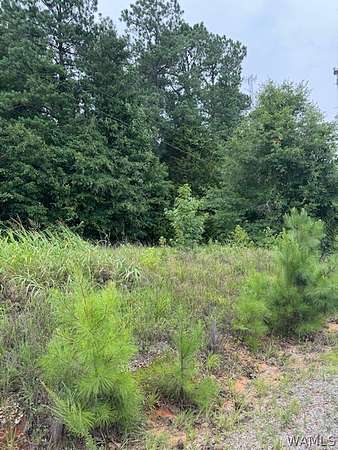 4.65 Acres of Land for Sale in Cottondale, Alabama