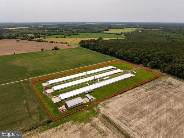 8 Acres of Improved Land for Sale in Cambridge, Maryland