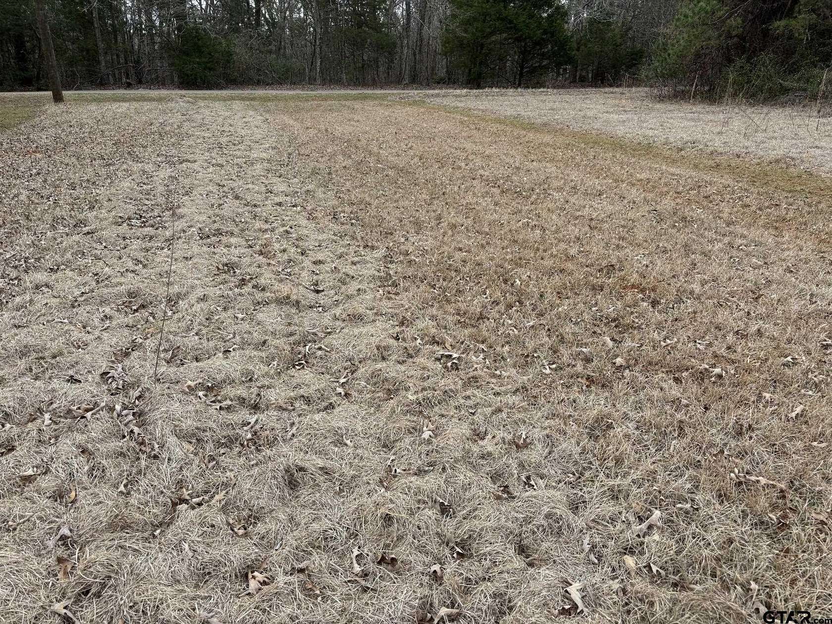 0.33 Acres of Land for Sale in Bullard, Texas